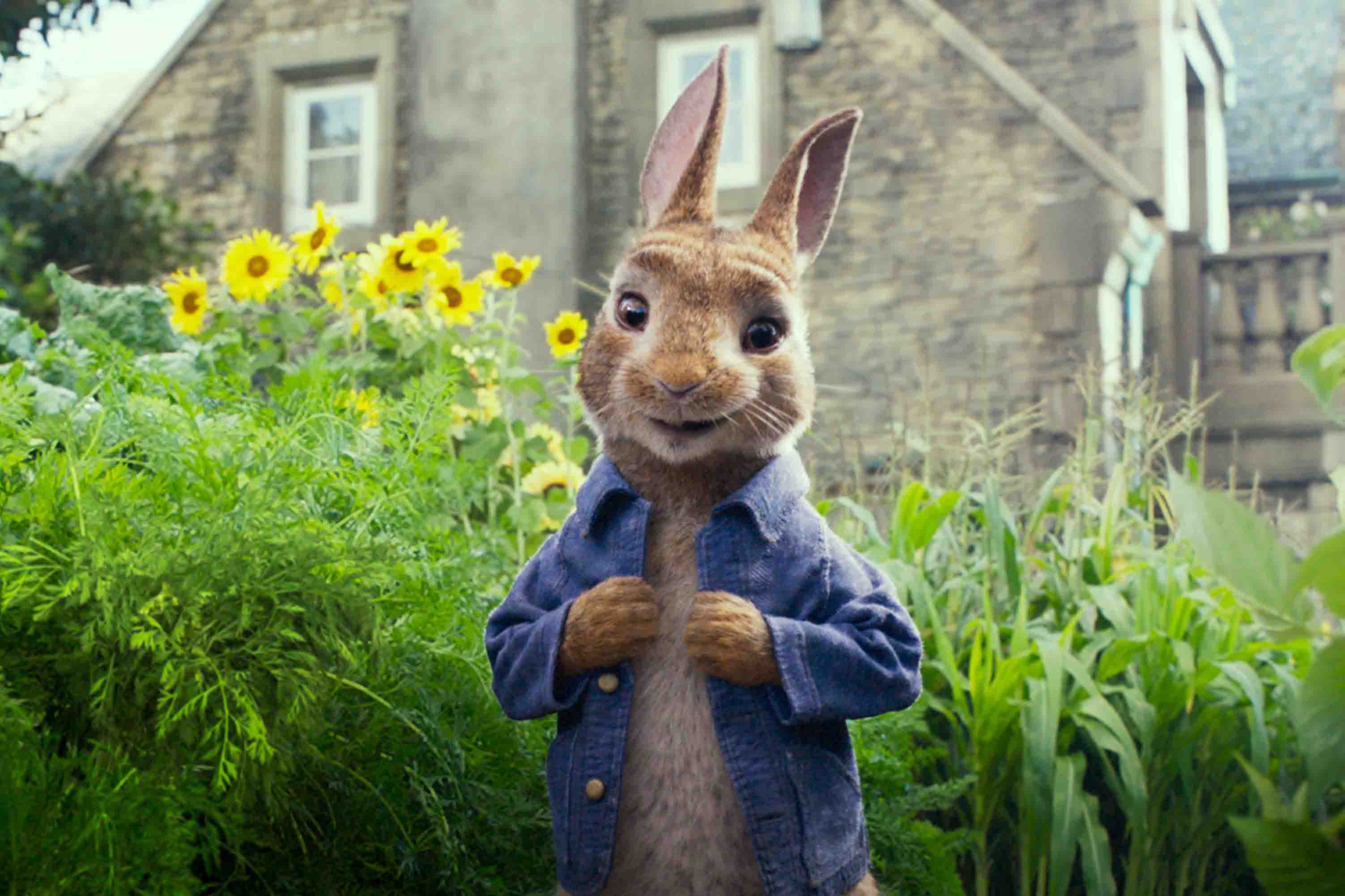 peter rabbit movie review christian
