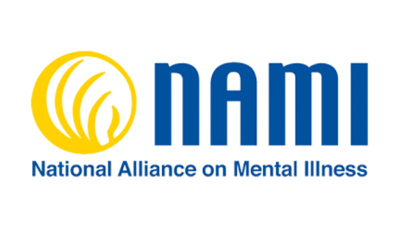 nami logo